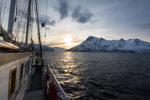 Sailing at sunset - Alex Tyler