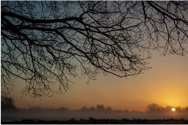 Morning Glow - Ian Carter