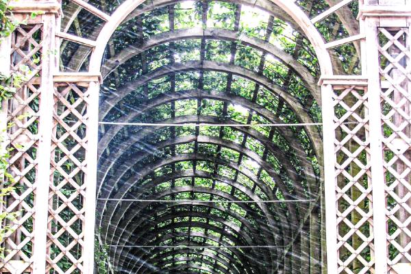 Orangery - Max Fox