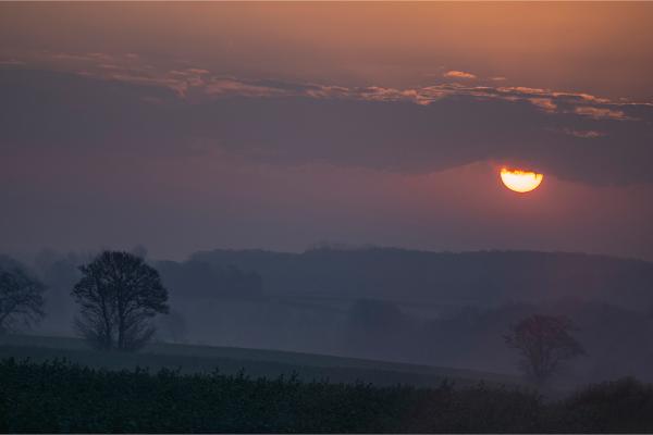 Sunrise - Jan Cross