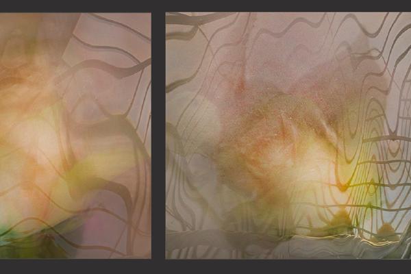 Hazy Roses - Chrissie Alexander