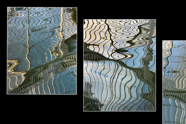 Kibble Palace Pond Reflection - Chrissie Alexander