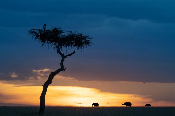 Nightfall - Chrissie Hart