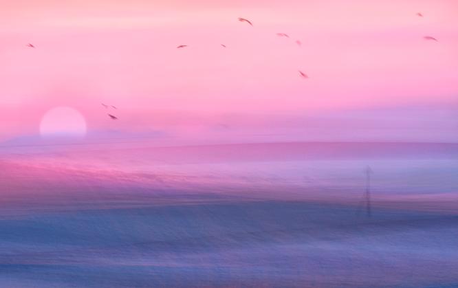 Sunrise from the Shore - Martin Heathcote