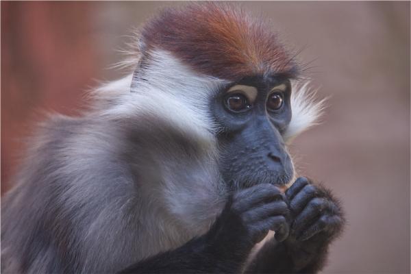 Keeping An Eye Out For The Others - Terry Stone