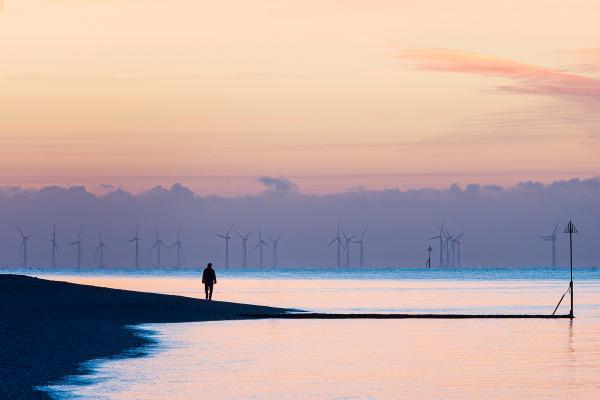 Dawn Walk - Martin Heathcote