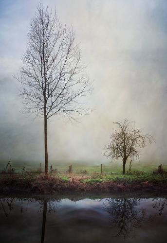 Little and Large - Roy Essery