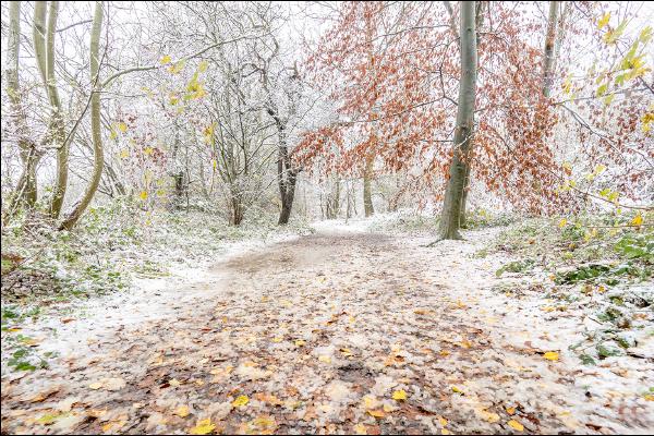 Light dusting of snow - Kate Jackson