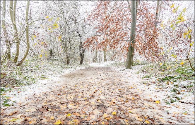 Light dusting of snow - Kate Jackson