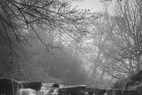 Virginia Water lakes - Eddie Campbell