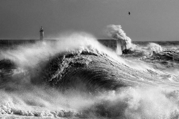 Newhaven, Strom Ciara - Kate Jackson