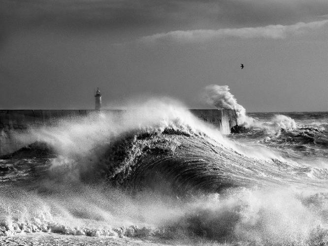 Newhaven, Strom Ciara - Kate Jackson
