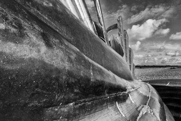 Seashell on the seashore - Peter Pangbourne