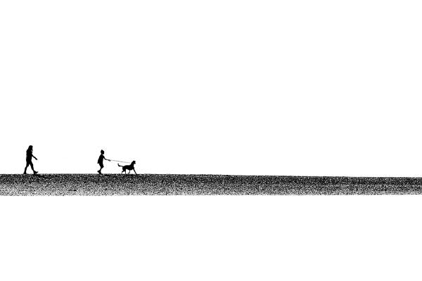 The Family on a Sandbank - Martin Heathcote