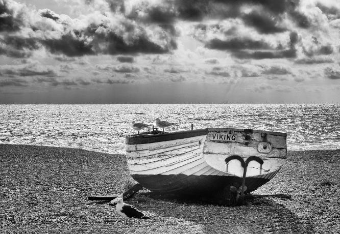 Viking - Alison Pangbourne