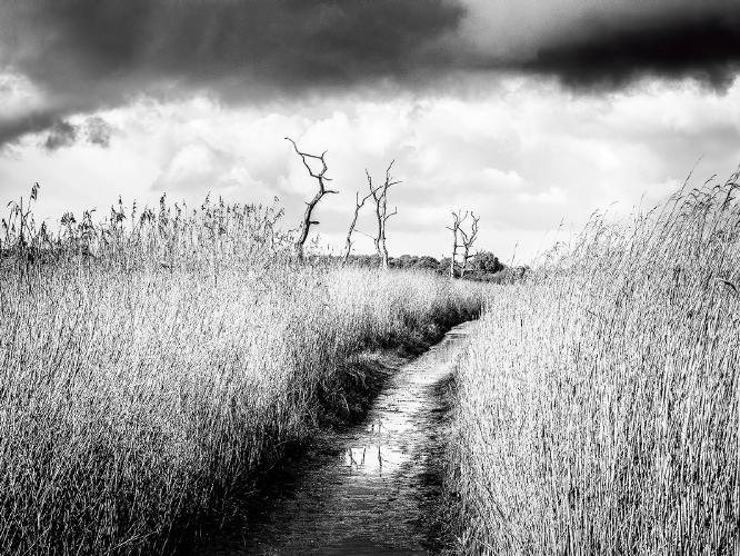 Iken Path Suffolk - Kate Jackson