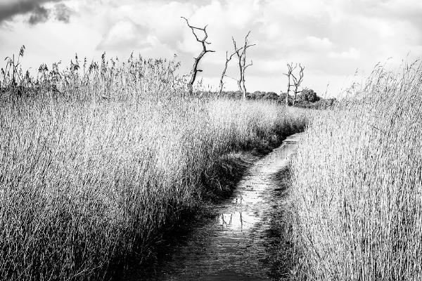 Iken Path Suffolk - Kate Jackson