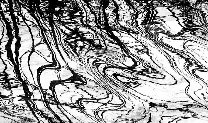 Reflections - David Banks