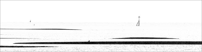 Banks, Bouys, Beacon and a Bird - Martin Heathcote