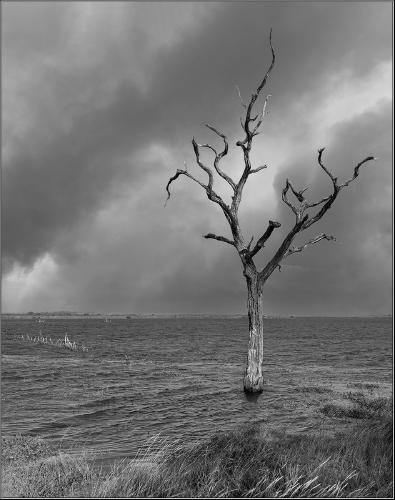 Global Warming - Peter Pangbourne