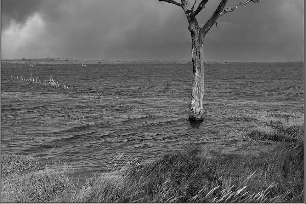Global Warming - Peter Pangbourne