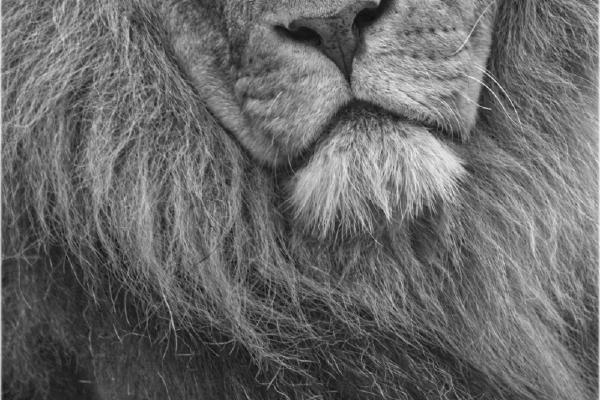 I,m Looking Straight At You - Terry Stone