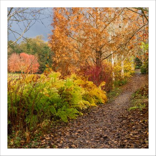 Autumn at Marks Hall (1) - Peter Pangbourne