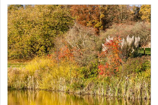 Autumn at Marks Hall (2) - Peter Pangbourne