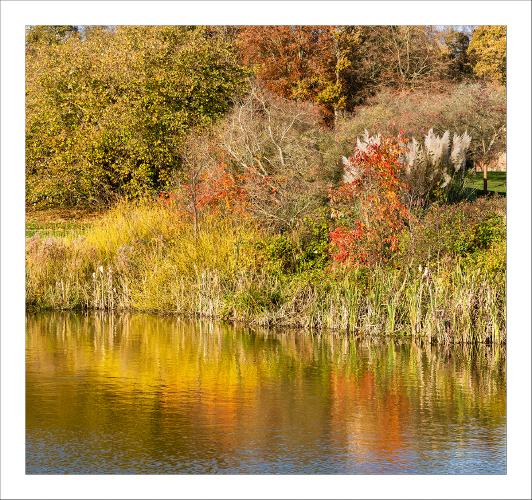Autumn at Marks Hall (2) - Peter Pangbourne