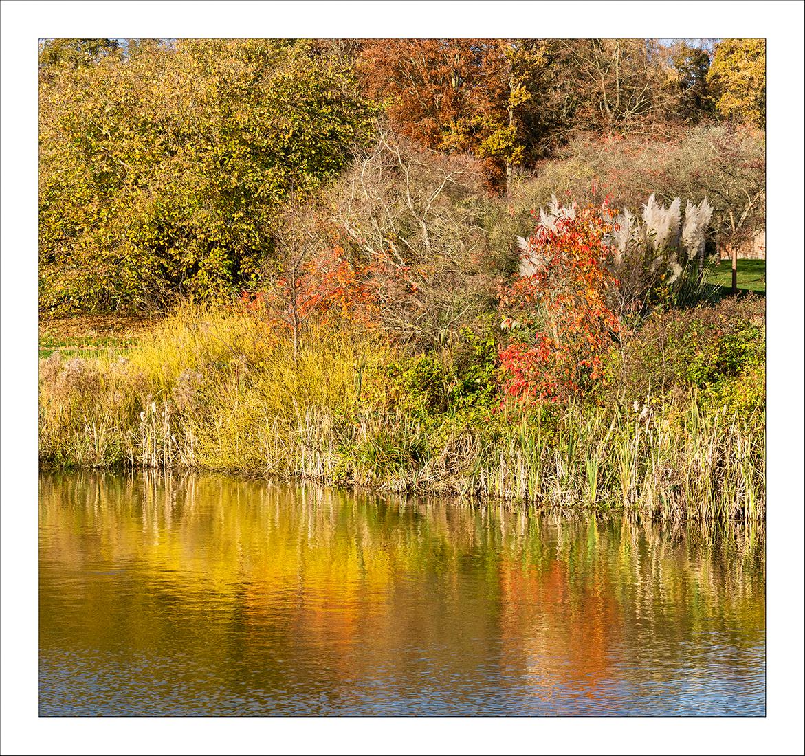 Autumn at Marks Hall (2) - Peter Pangbourne