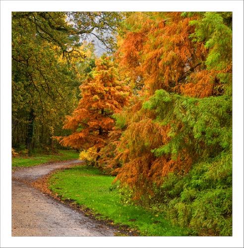 Autumn at Marks Hall (3) - Peter Pangbourne
