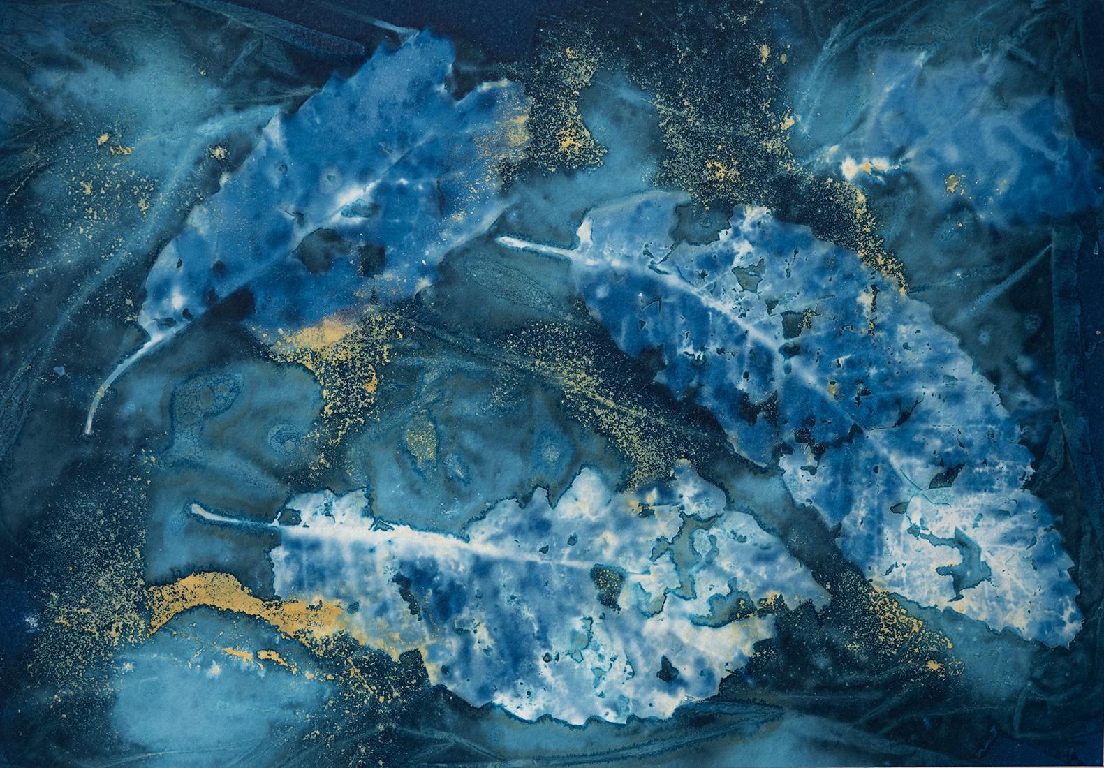 Cyanotypes (3) - Roy Essery