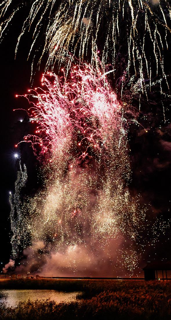 Fireworks (3) - Martin Ventris-Field