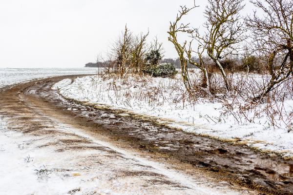 First Fall of Snow - Jan Cross