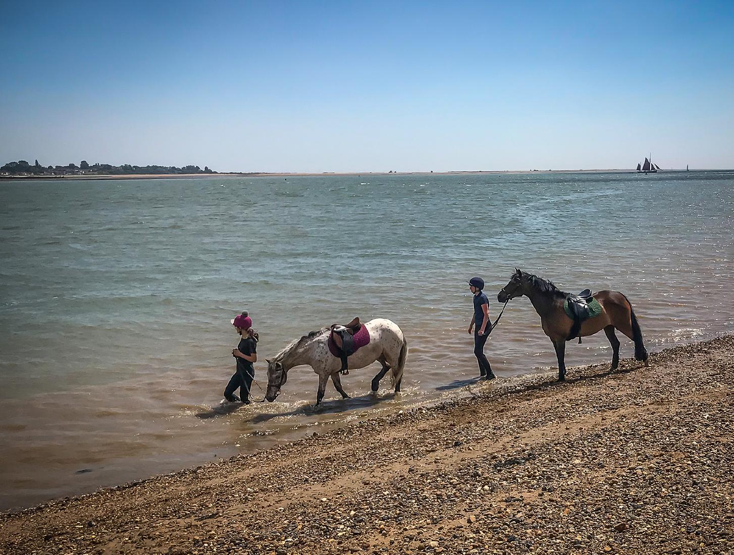 Horses Cooling at Water's Edge, - Mary Battye