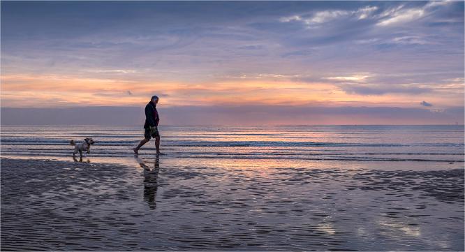 Morning Walk With The Dog - Martin Leech
