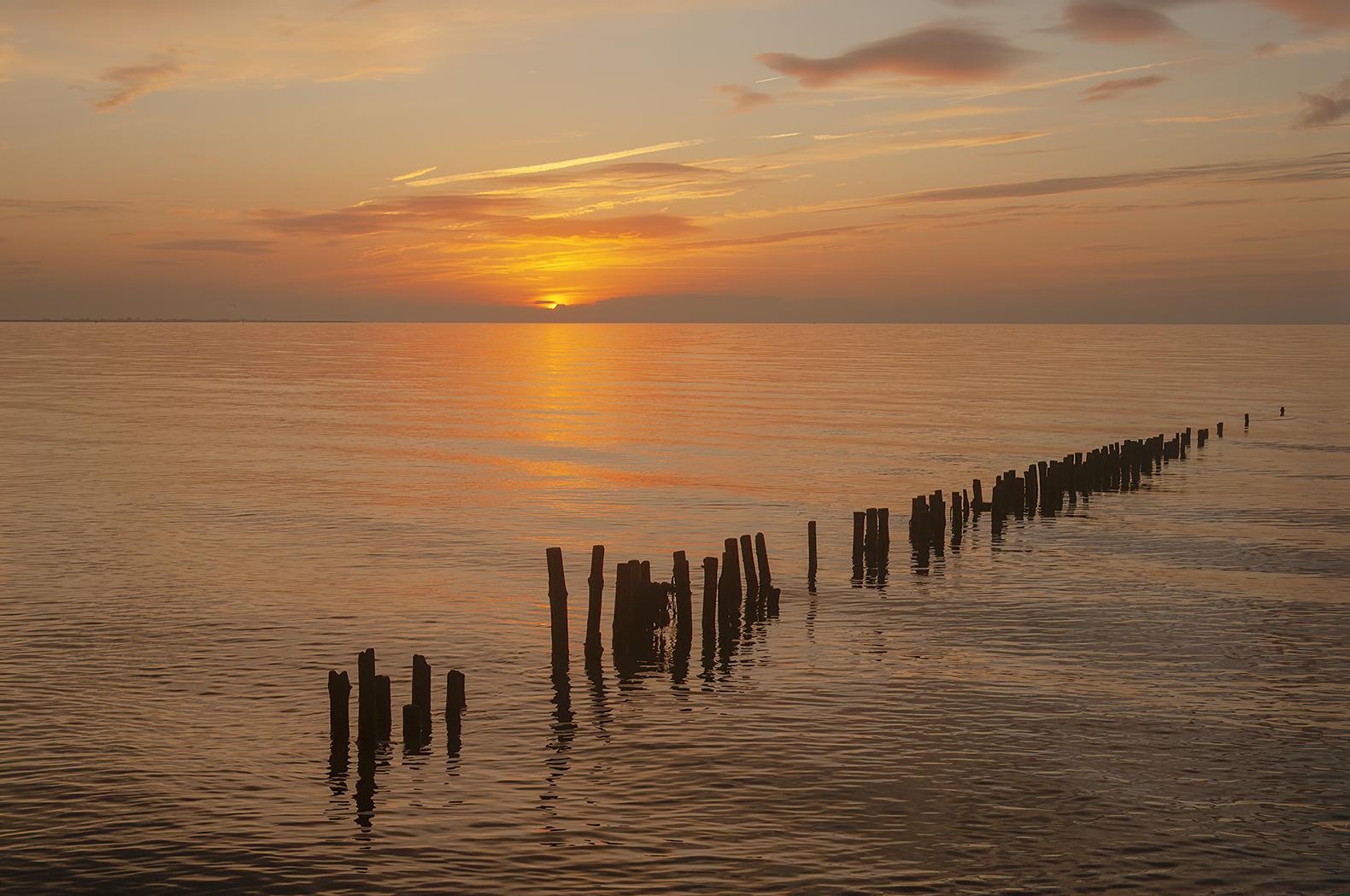 Sunrise from Cudmore Grove, Mersea Island - Colin Westgate