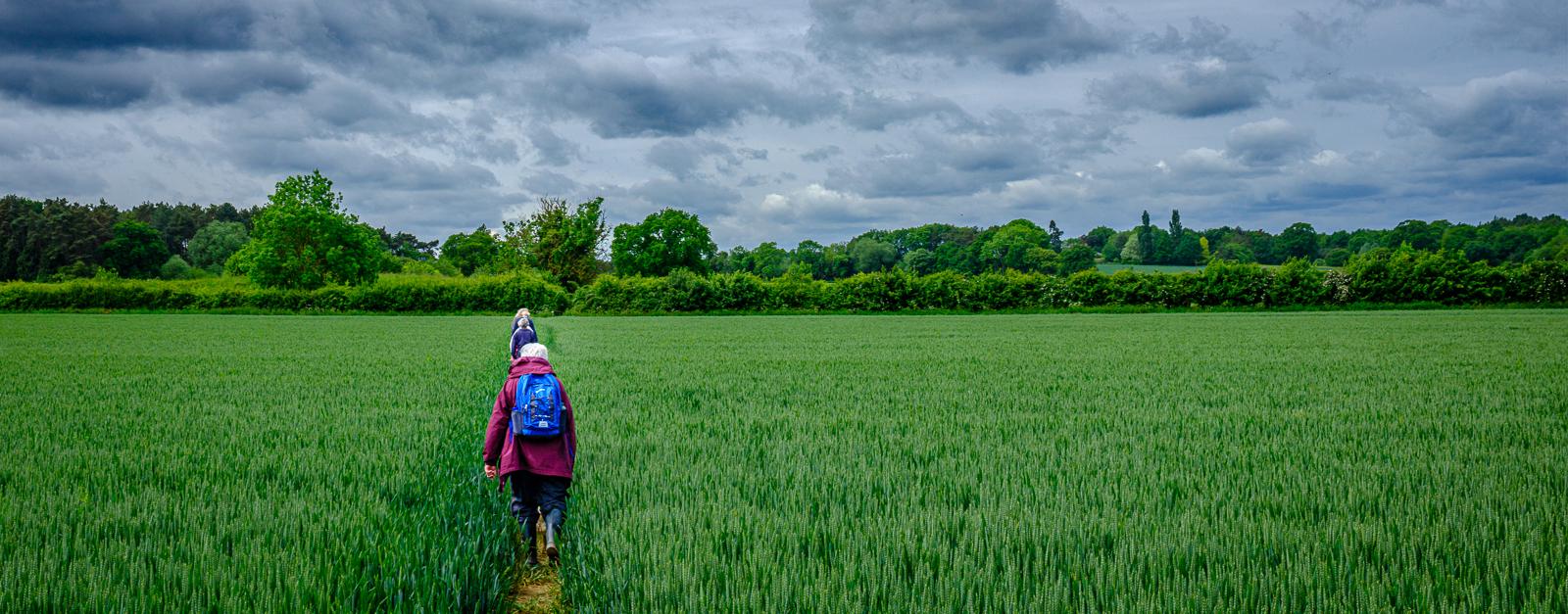 Taking a walk on the Essex Way - Bola Oshisanwo