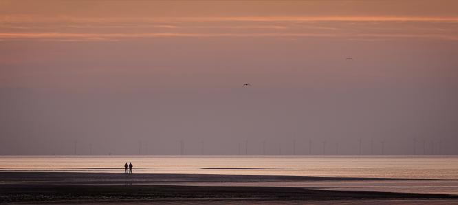 Watching the Dawn - Martin Heathcote