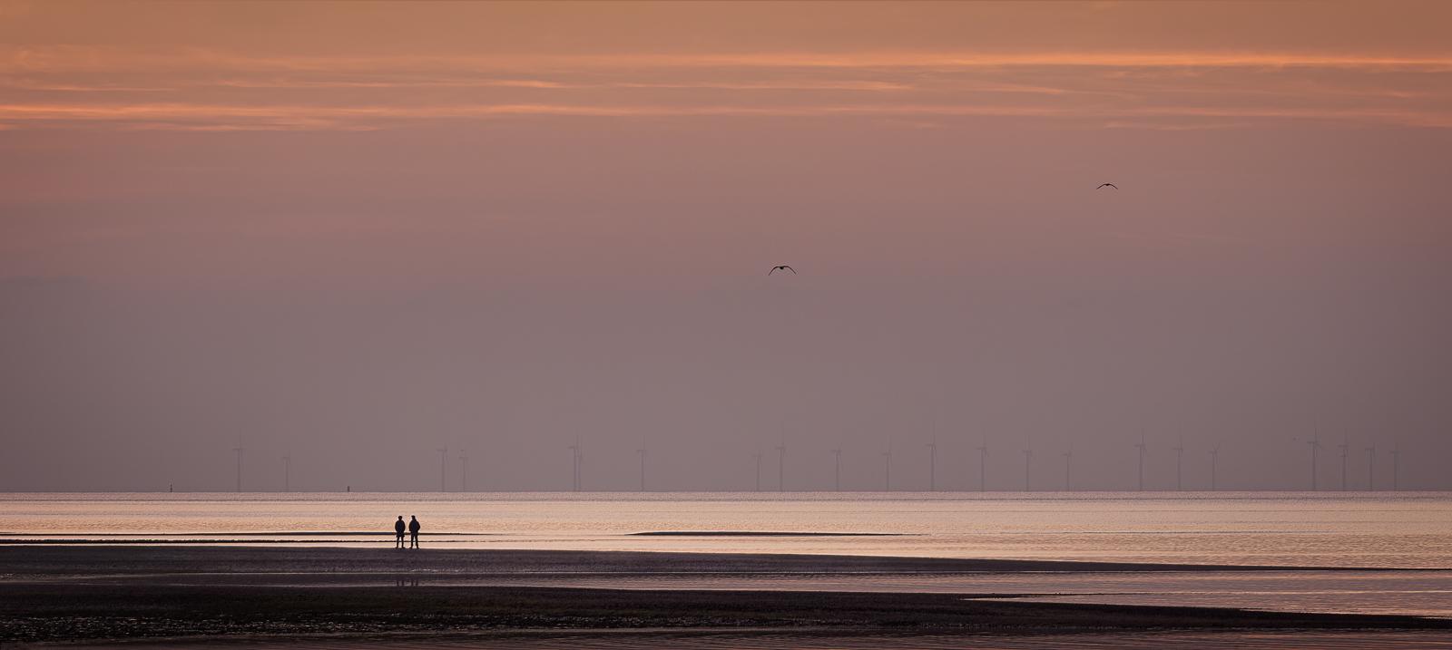 Watching the Dawn - Martin Heathcote