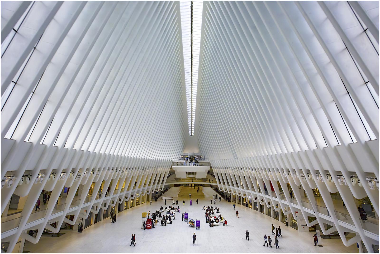 World Trade Centre - New York - David Egerton