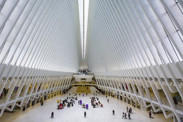 World Trade Centre - New York - David Egerton