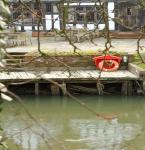 Matthew Millard - A Glimpse Beyond