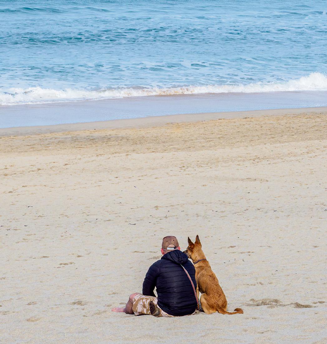 One Man and His Dog - David Cross
