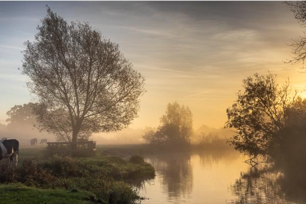Constable Country - Ian Carter