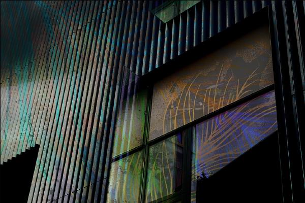 Design District Windows - Chrissie Alexander