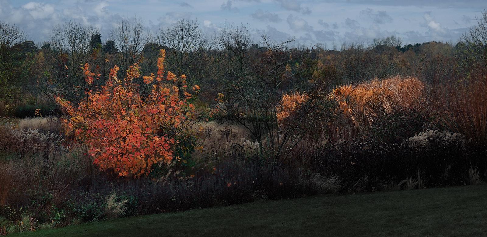 Flaming Autumn - Nesta James