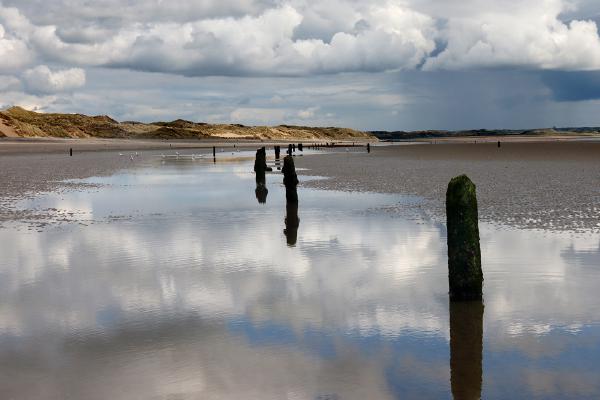 Murlough Strand - Anne Aldred