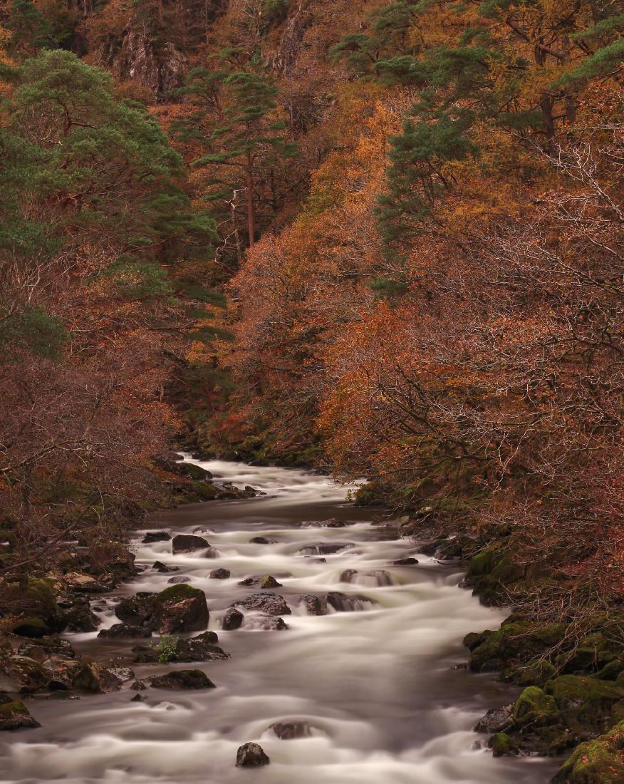 Pont Aberglaslyn - Richard Goldsmith