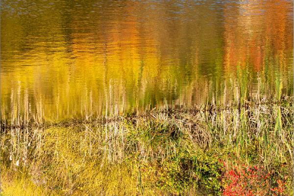 Reflections of autumn - Peter Pangbourne